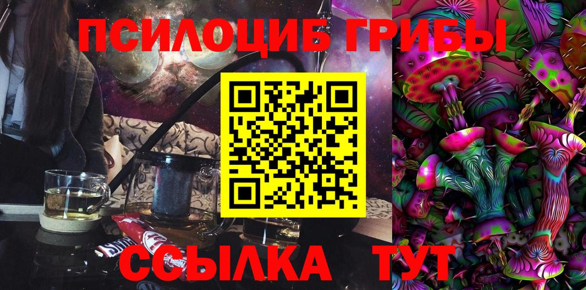Благодарный  Галлюциногенные грибы Psilocybine cubensis  цена   Вход с VPN 