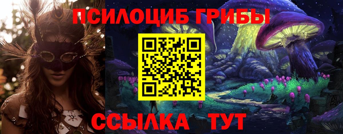Галлюциногенные грибы GOLDEN TEACHER Благодарный